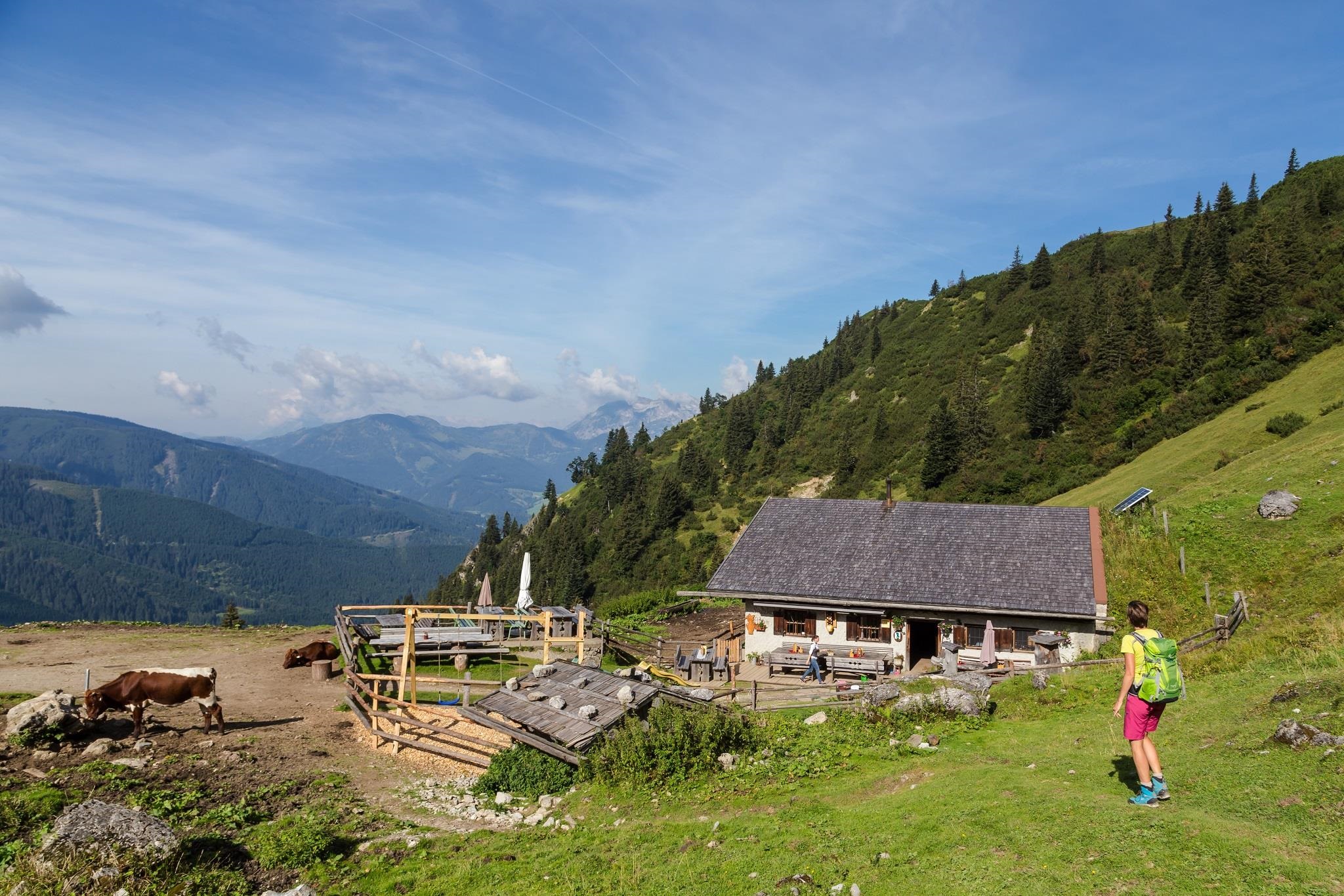 Sulzkaralm - Almsommerhütte des Jahres 2015