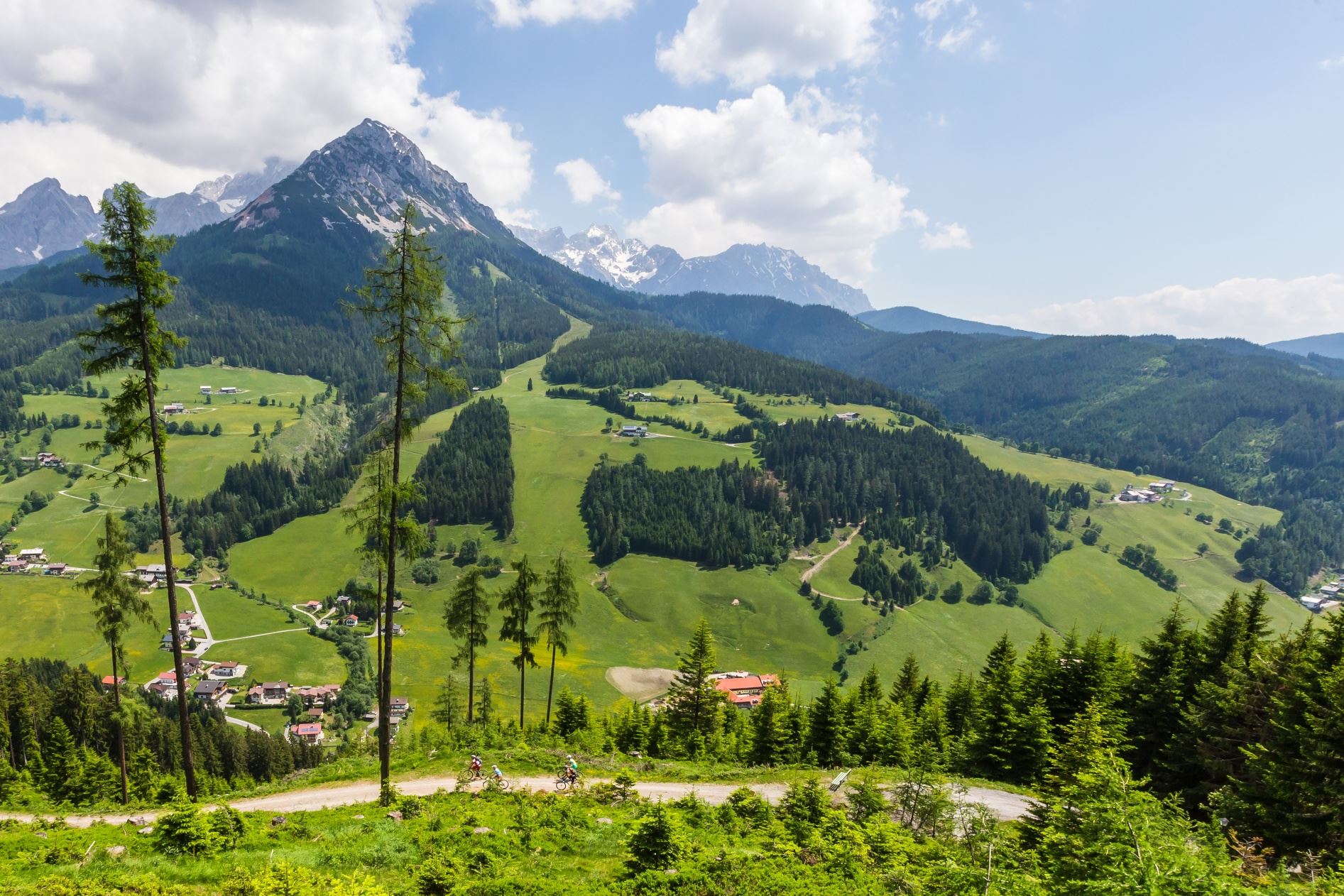 Variante Schwaigalm (SW03-V1)