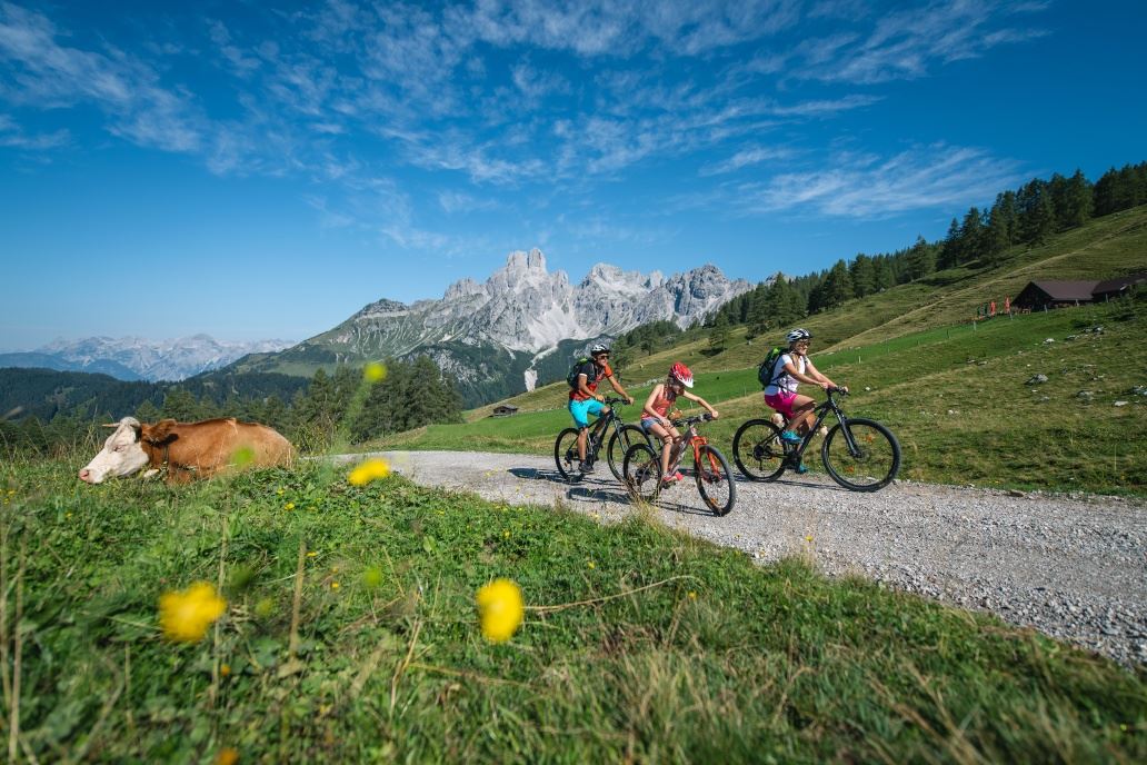 Variante Sulzenalm (SW07-V1)