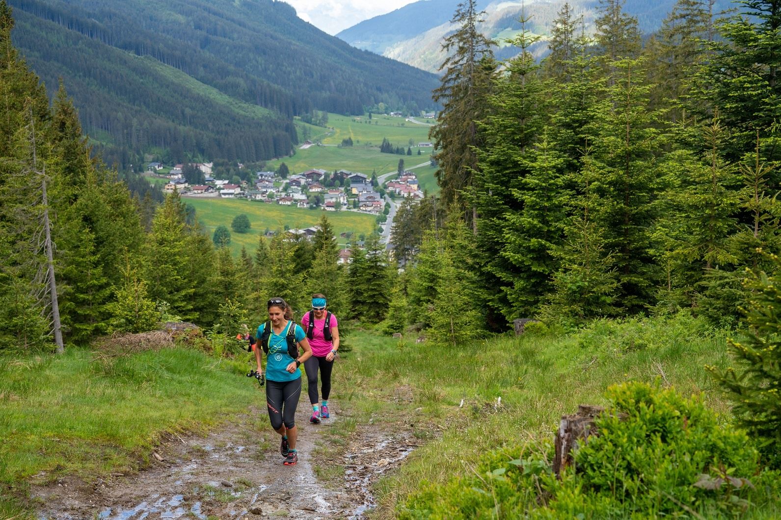 Hallmoosrunde